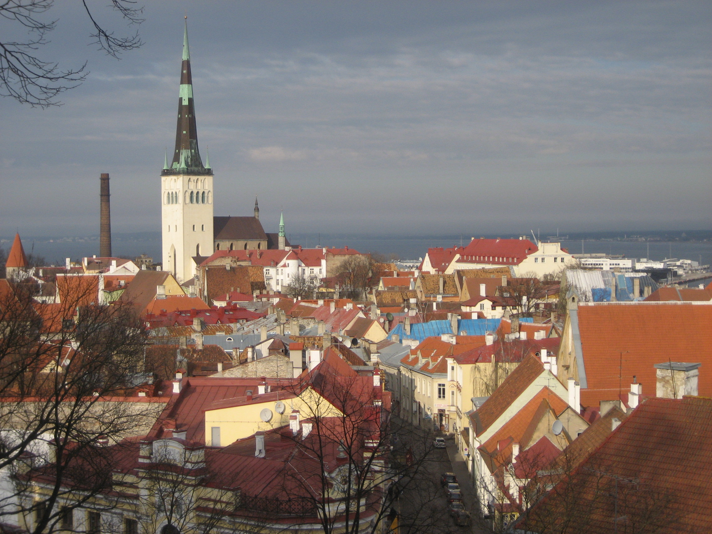 tallinn-wiht-olga-8 tallinn-wiht-olga-8